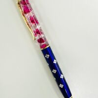 画像1659