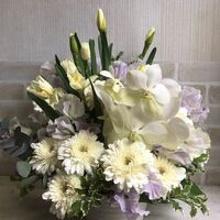 画像1716