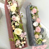 画像1720