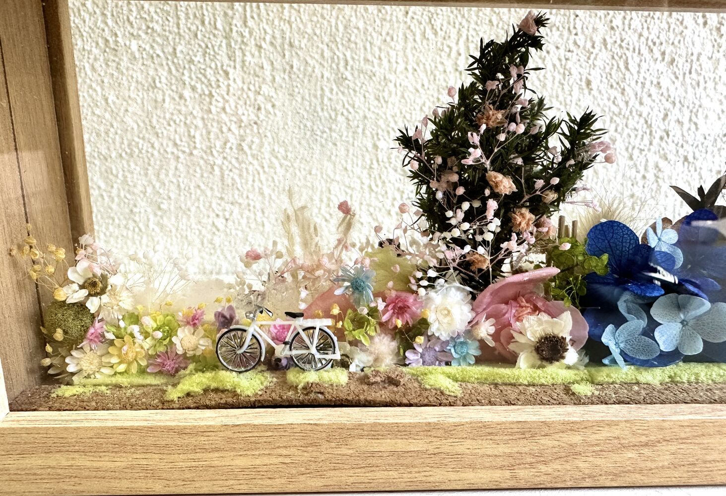 画像3056