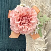 画像3245