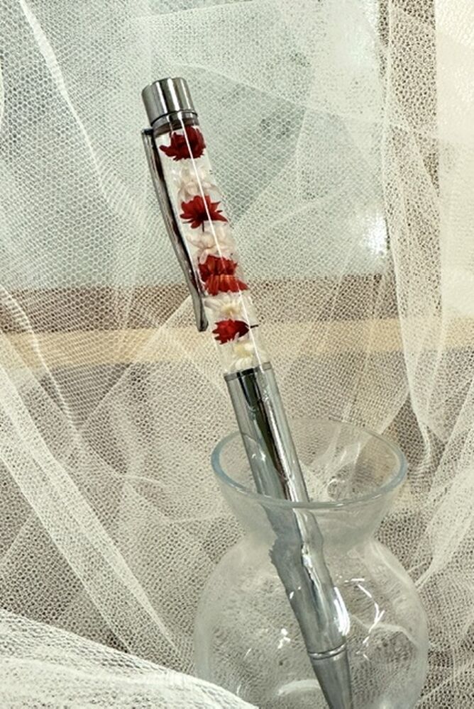 画像3895